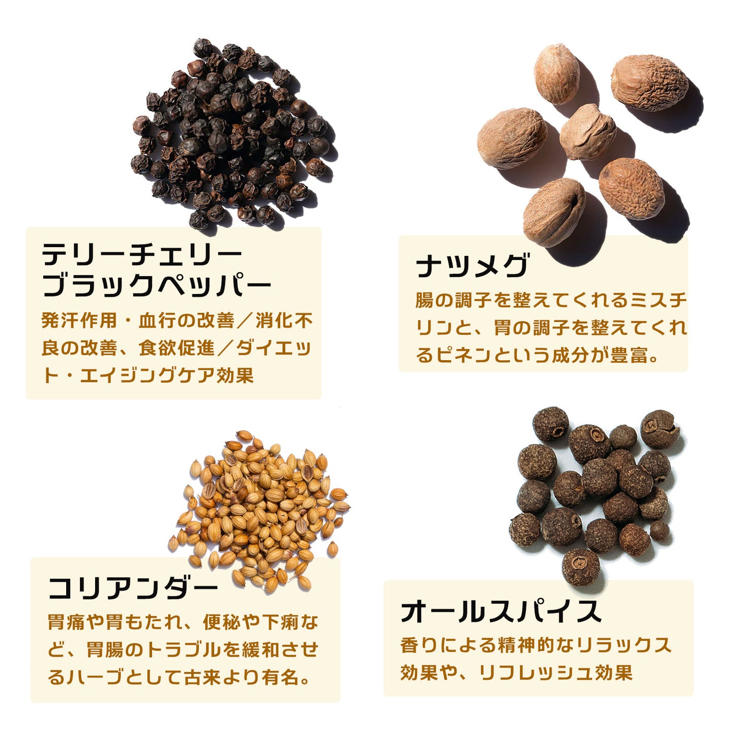 the cocoa「ハイカカオとスパイスのココア」/84g
