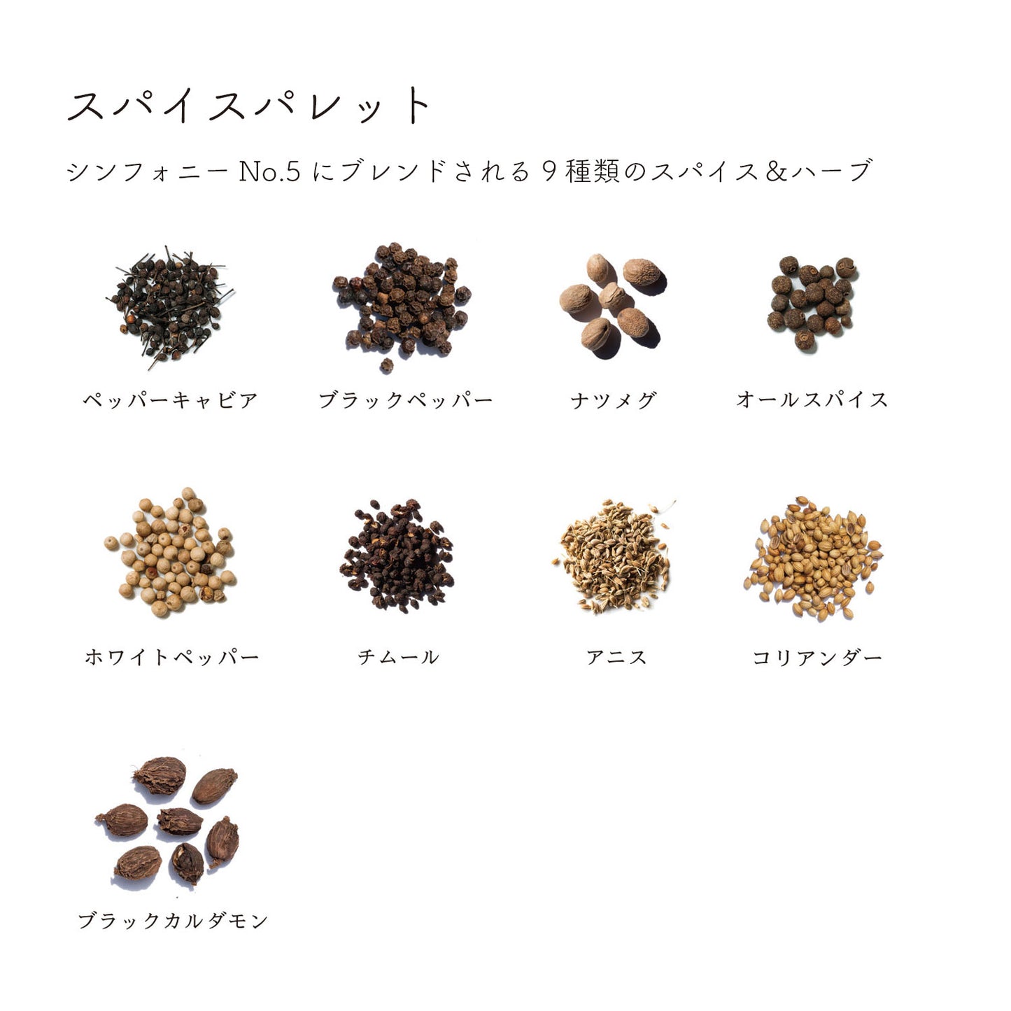 ディッシュ シンフォニーNo. 5(容器無しタイプ)