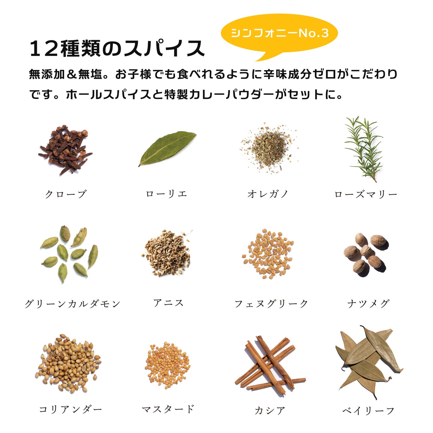 スパイスカレー シリーズ「4種/お得セット」