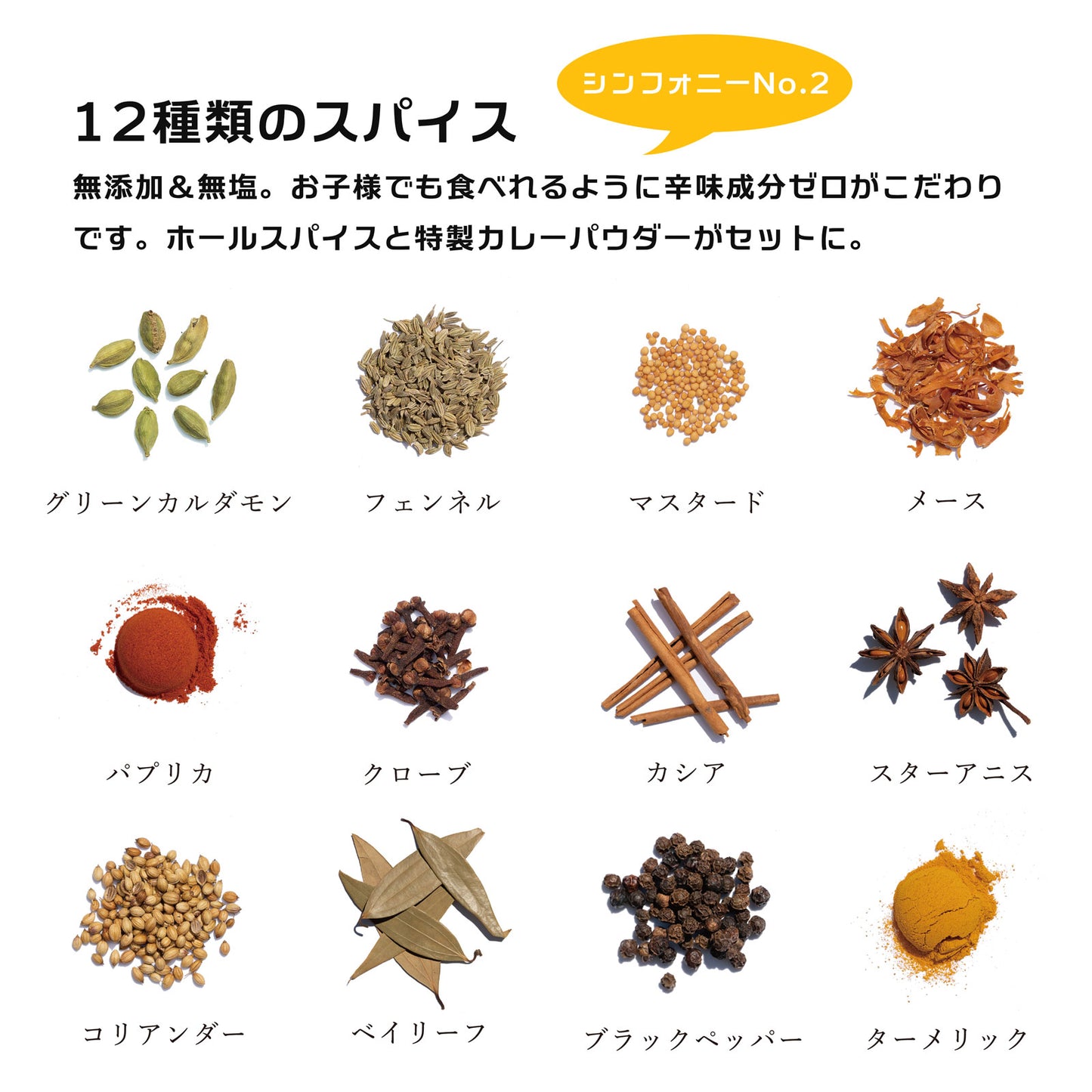 スパイスカレー シリーズ「4種/お得セット」
