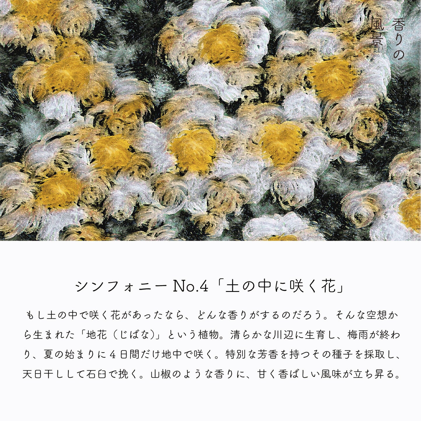 ディッシュ シンフォニーNo. 4(容器無しタイプ)