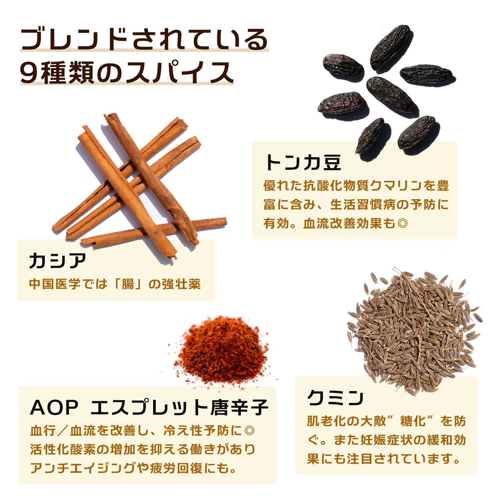 the cocoa／ハイカカオとスパイスのココア｜商品ページ｜INSPICE公式