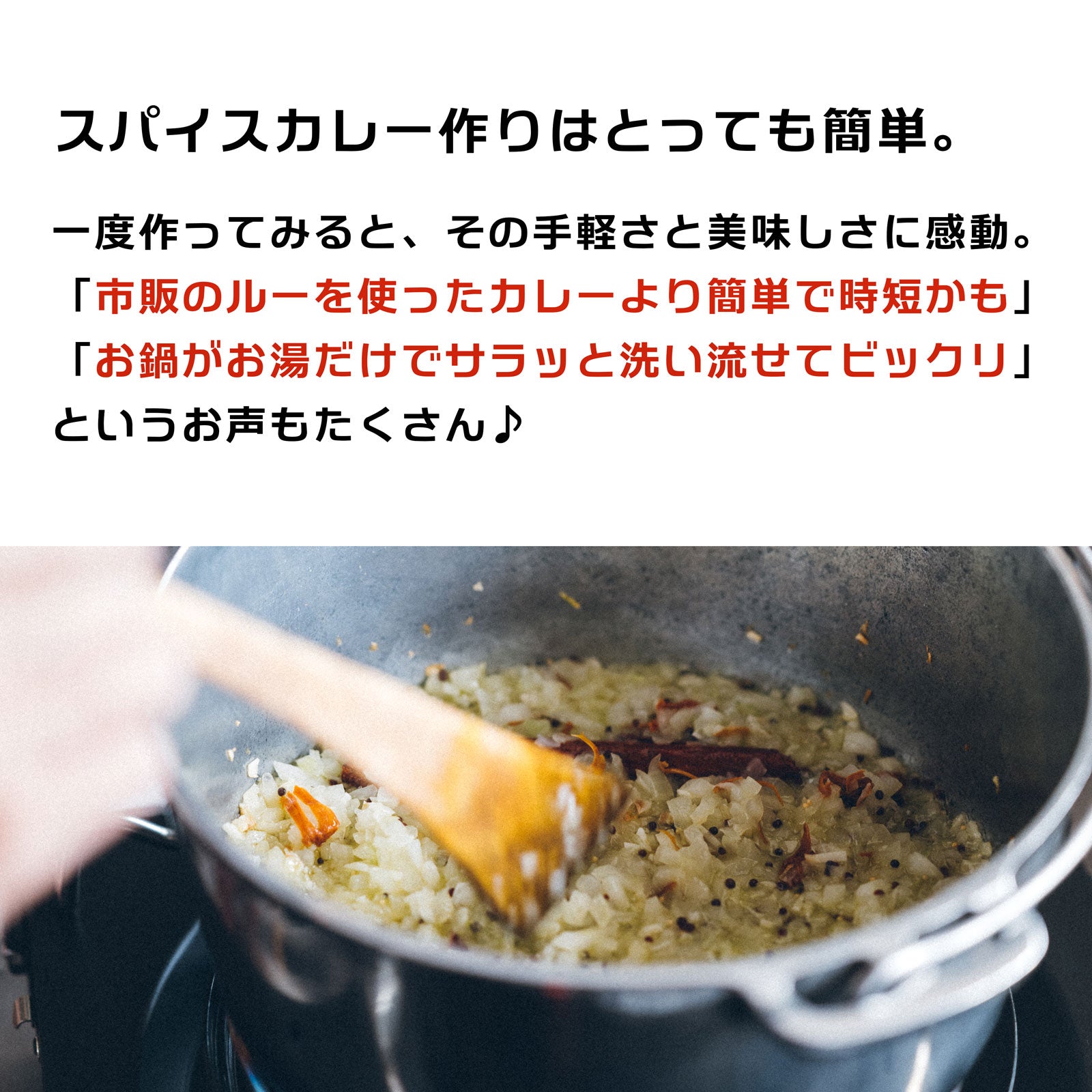 スパイスカレー スパイスパック シンフォニーNo.1