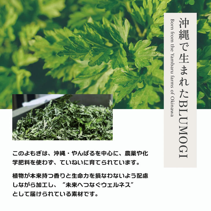 Yomogi CHAInstant「ヨモギチャイ インスタント」