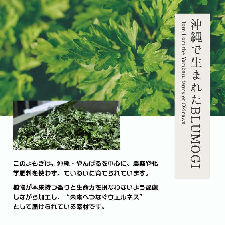 Yomogi CHAInstant「ヨモギチャイ インスタント」