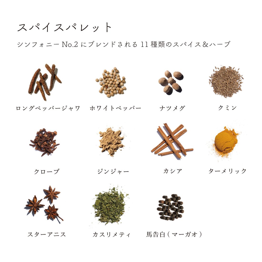No.2のスパイスパレット