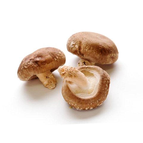 椎茸