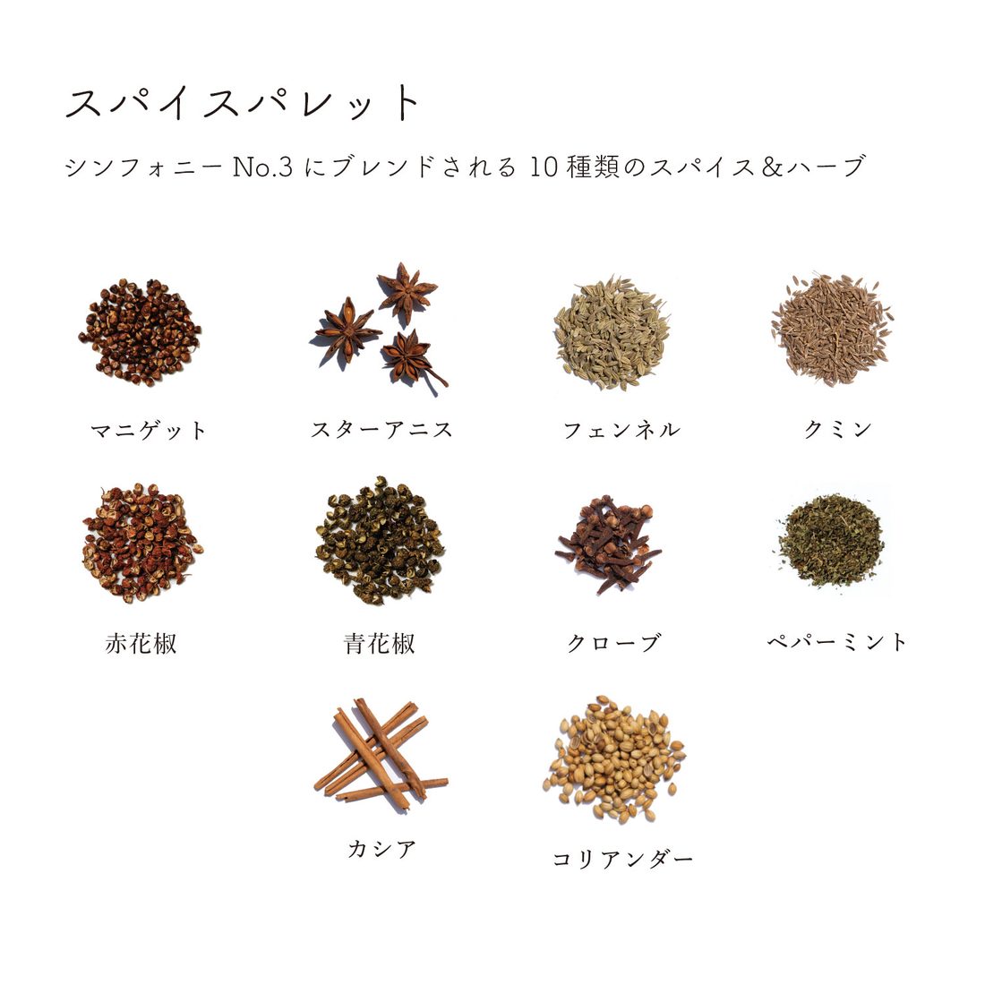 No.3のスパイスパレット