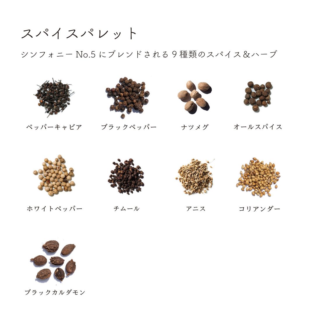 No.5のスパイスパレット